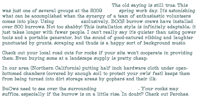                                                                The old saying is still true. This was just one of several groups at the 2009 BOCS spring work day. It’s astonishing what can be accomplished when the synergy of a team of enthusiastic volunteers comes into play. Using hand tools exclusively, BOCS burrow crews have installed over 800 burrows. Not too shabby! This installation style is infinitely adaptable; it just takes longer with fewer people. I can’t really say it’s quieter than using power tools and a portable generator, but the sound of good-natured ribbing and laughter punctuated by grunts, scraping and thuds is a happy sort of background music.
Check out your local road cuts for rocks if your site won’t cooperate in providing them. Even buying some at a landscape supply is pretty cheap. 
In our area (Northern California) putting half inch hardware cloth under open-bottomed chambers (covered by enough soil to protect your owls’ feet) keeps them from being turned into dirt storage areas by gophers and their ilk. 
BuOws need to see over the surrounding (short) vegetation. Your rocks may suffice, especially if the burrow is on a little rise. In doubt? Check out Perches.