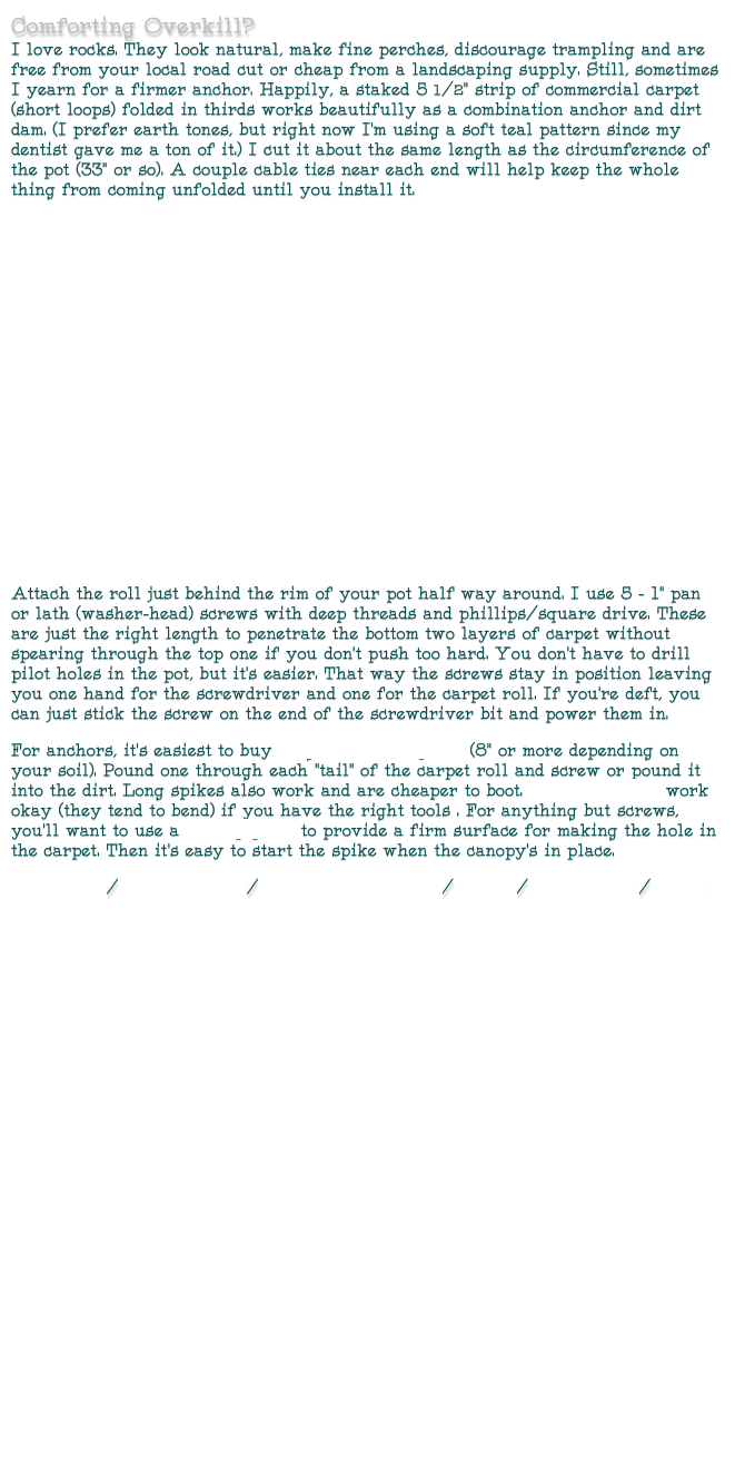 Comforting Overkill? I love rocks. They look natural, make fine perches, discourage trampling and are free from your local road cut or cheap from a landscaping supply. Still, sometimes I yearn for a firmer anchor. Happily, a staked 5 1/2” strip of commercial carpet (short loops) folded in thirds works beautifully as a combination anchor and dirt dam. (I prefer earth tones, but right now I’m using a soft teal pattern since my dentist gave me a ton of it.) I cut it about the same length as the circumference of the pot (33” or so). A couple cable ties near each end will help keep the whole thing from coming unfolded until you install it. 










Attach the roll just behind the rim of your pot half way around. I use 5 - 1” pan or lath (washer-head) screws with deep threads and phillips/square drive. These are just the right length to penetrate the bottom two layers of carpet without spearing through the top one if you don’t push too hard. You don’t have to drill pilot holes in the pot, but it’s easier. That way the screws stay in position leaving you one hand for the screwdriver and one for the carpet roll. If you’re deft, you can just stick the screw on the end of the screwdriver bit and power them in.
For anchors, it’s easiest to buy long screws or spikes (8” or more depending on your soil). Pound one through each “tail” of the carpet roll and screw or pound it into the dirt. Long spikes also work and are cheaper to boot. 3/8” rebar “L’s” work okay (they tend to bend) if you have the right tools . For anything but screws, you’ll want to use a backup plate to provide a firm surface for making the hole in the carpet. Then it’s easy to start the spike when the canopy’s in place.
Pot Canopy/Bucket Canopy/Hose-trimmed Canopy/Entries/Carpet Cones/Carpet
